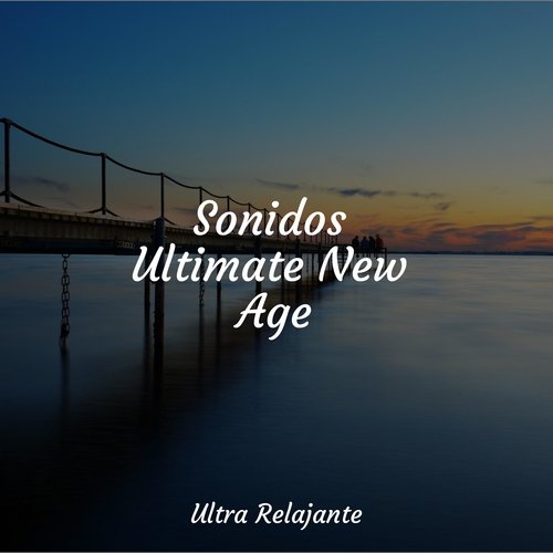 Sonidos Ultimate New Age