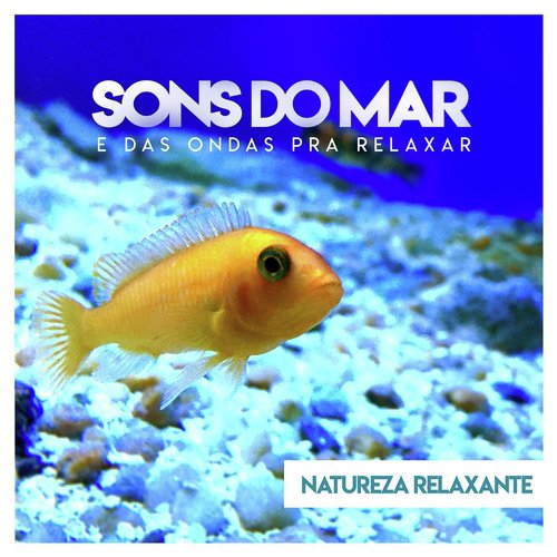 Sons do Mar e das Ondas para Relaxar