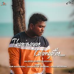 Thanimayae Kalangathe-PDAveRV1Vnc