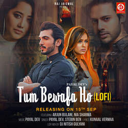 Tum Bewafa Ho (Lofi)-Gg0cCT5haEY