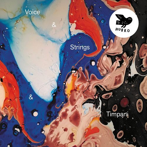 Swarming Strings Made Out Of Light cover art