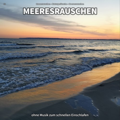 Ozeanrauschen für Wellness cover art