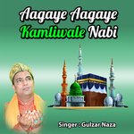 Aagaye Aagaye Kamliwale Nabi