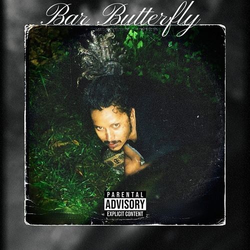 Bar Butterfly