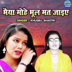 Bhaiya Mohe Bhool Mat Jaiye