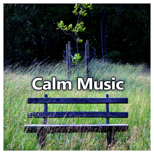 Calm Music – Deep Relaxation, Meditation, Mindfulness, Well Being, Smooth Music