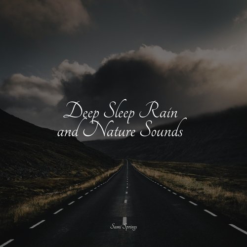 Deep Sleep Rain and Nature Sounds