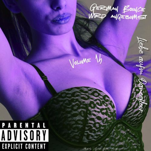 German Bounce Wird Angebumst - Volume 14