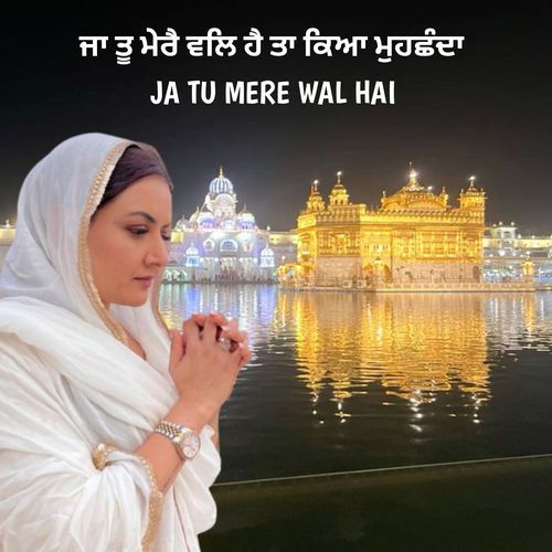 Ja Tu Mere Wal Hai