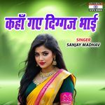 Kaha Gaye Diggaj Bhai artwork