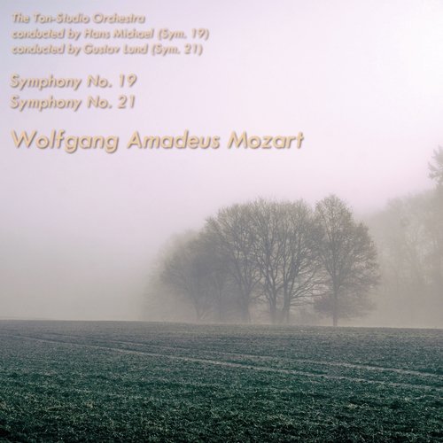 Symphony No. 21, K. 134 in A Major: I. Allegro cover art