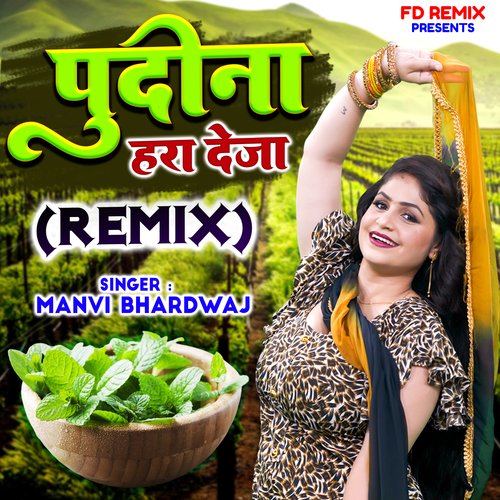 Pudina Hara Deja (Remix)