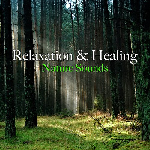 Relaxation &amp; Healing Nature Sounds_poster_image