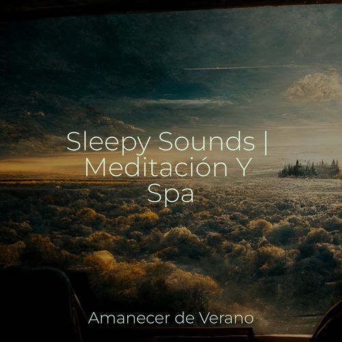 Sleepy Sounds | Meditación Y Spa_poster_image