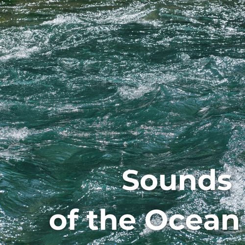 Sounds of the Ocean