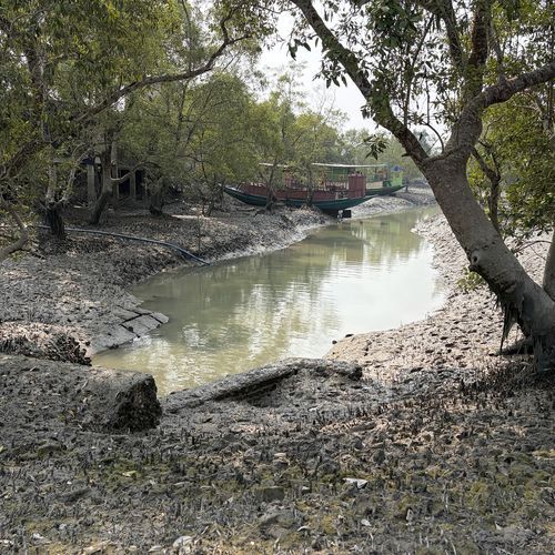 Sundarbans - Entangled Kinships