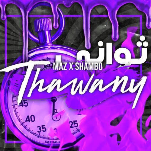 Thawany (feat. Shvmbo)