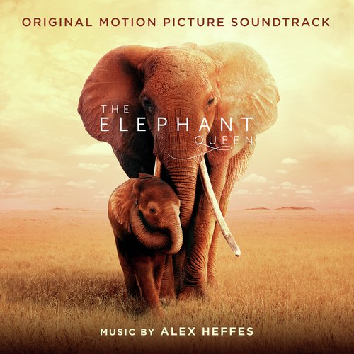 The Elephant Queen