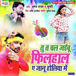 Tu Ta Chal Jaibu Filhal Ae Janu Holiya Me