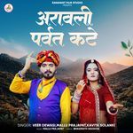 Aravalli Parvat Kate