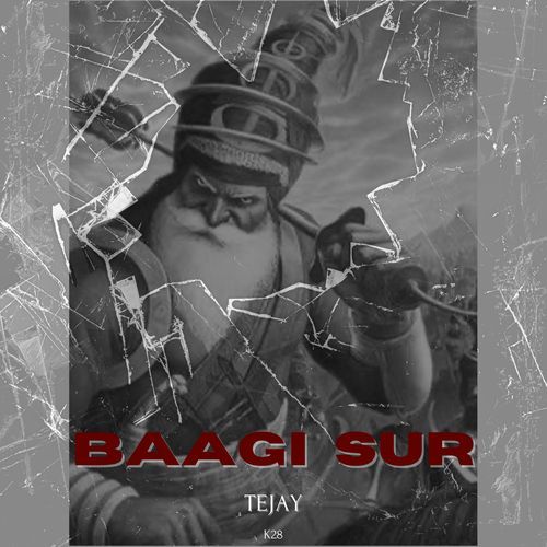 Baagi Sur