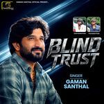 Blind Trust artwork