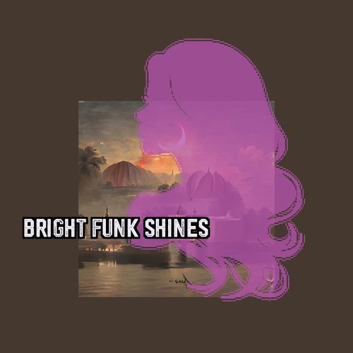 Bright Funk Shines