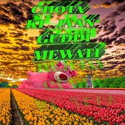CHOTA KI JAAN GUDDI MEWATI