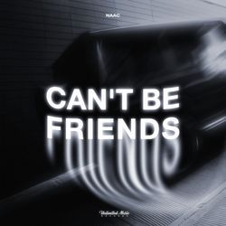 Can't Be Friends-BSpYdztFUms