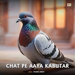 Chat Pe Aaya Kabutar