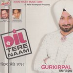 Tere Naal (Ni Tere Utte Dil Aagaya)