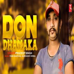 Don Dhamaka-Fl4NU0daWUs