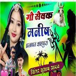 Go Sevak Manish Prjapat Shahpura