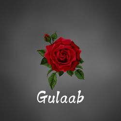 Gulaab-AwcGAjBFAgQ