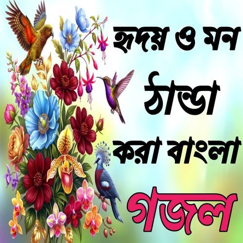 Gunay Gunay Gelo Re