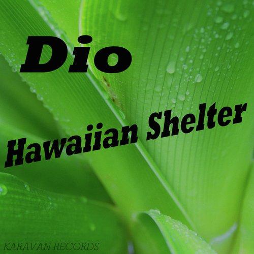 Hawaiian Shelter