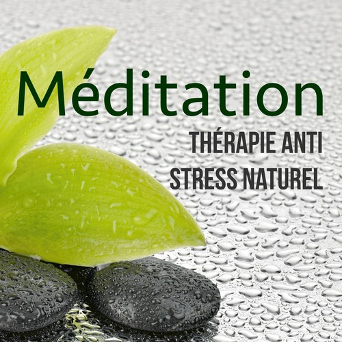 Méditation - Thérapie Anti Stress Naturel: Musique Relaxant pour Méditer et Se Détendre, Musicothérapie et Sophrologie pour Mieux Vivre_poster_image