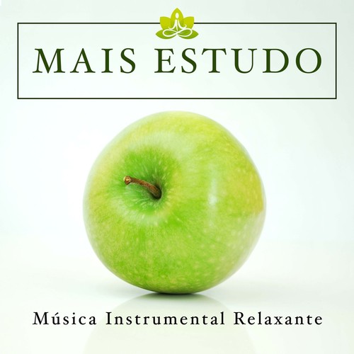 Mais Estudo - Musica Instrumental Relaxante para Estudar e Trabalhar