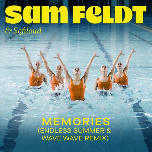 Memories (Endless Summer & Wave Wave Remix)_poster_image