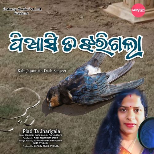 Piasi Ta Jharigala (New Odia Song)