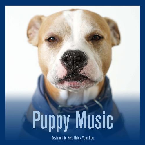 Puppy Music: Designed to Help Relax Your Dog