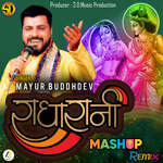 Radha Rani-Mashup Remix