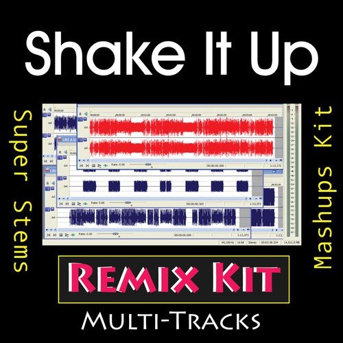 Shake It Up (Multi Tracks Tribute to Selena Gomez)