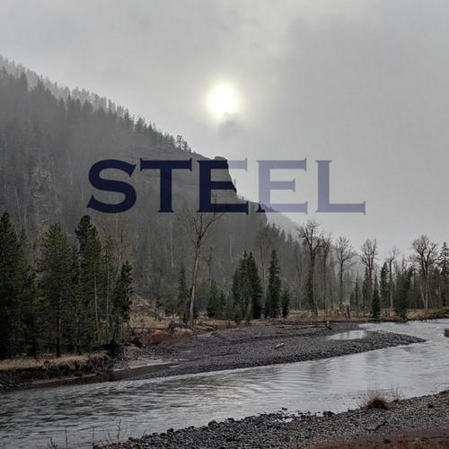 Steel