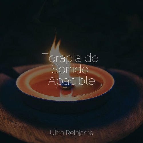 Terapia de Sonido Apacible