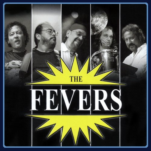 The Fevers Vem Dançar, Vol. 2