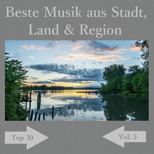 Top 30: Beste Musik aus Stadt, Land & Region, Vol. 5