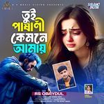 Tui Pashani Kemne Amay