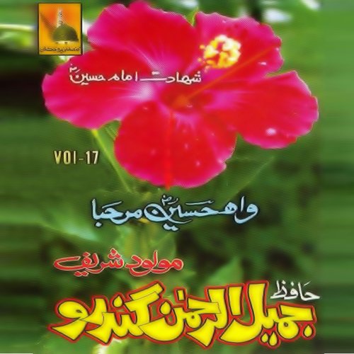 Wah Hussain Marhaba, Vol. 17