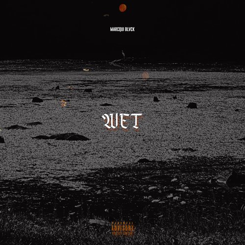 Wet cover art